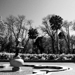 Captain Cook's park